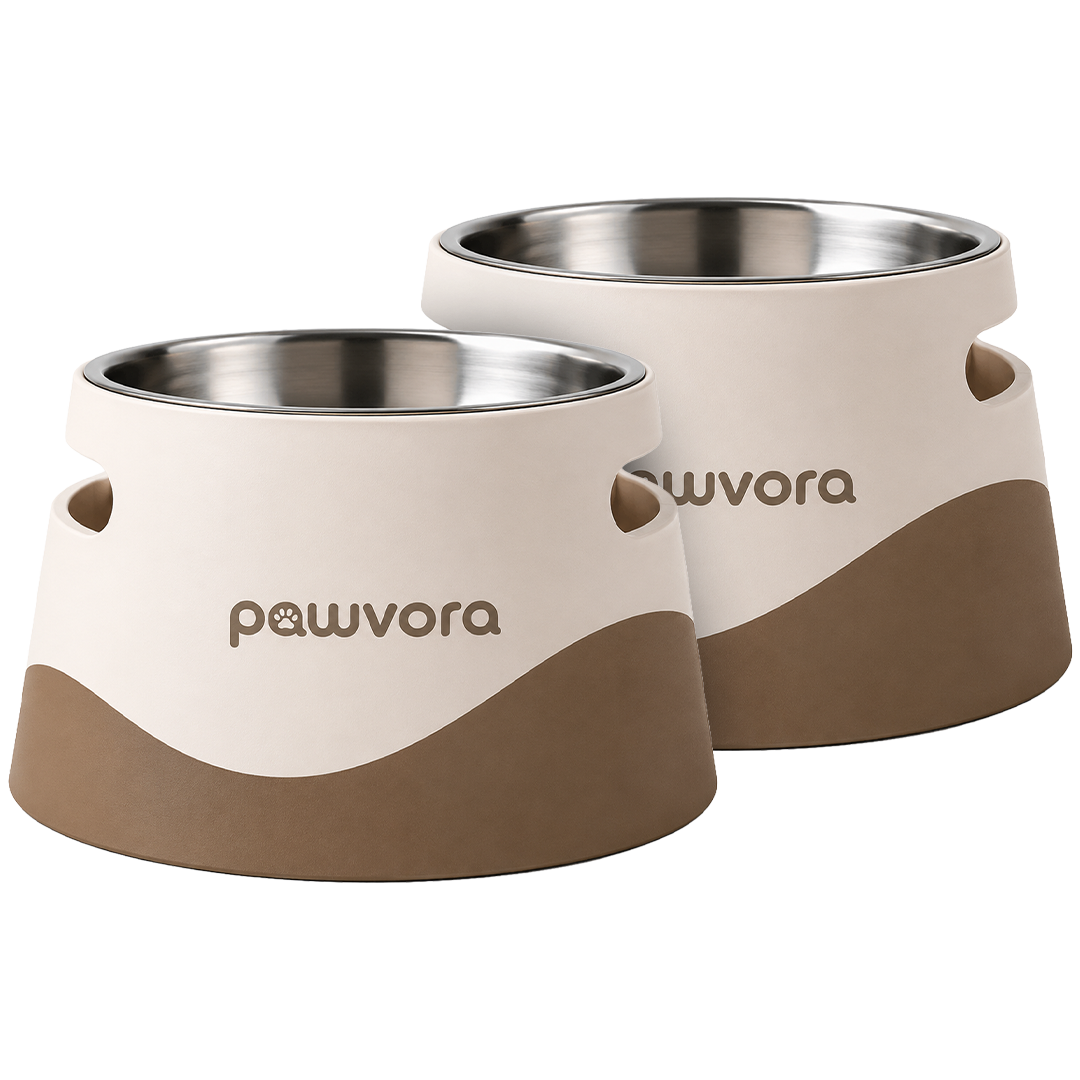 Pavwora | Personalisierter Futternapf [BUNDLE]